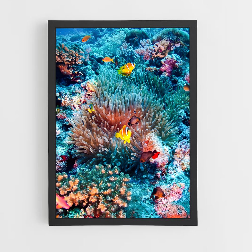Poster Clown Paradise – affiche Plongée sous-marine (vue 2)